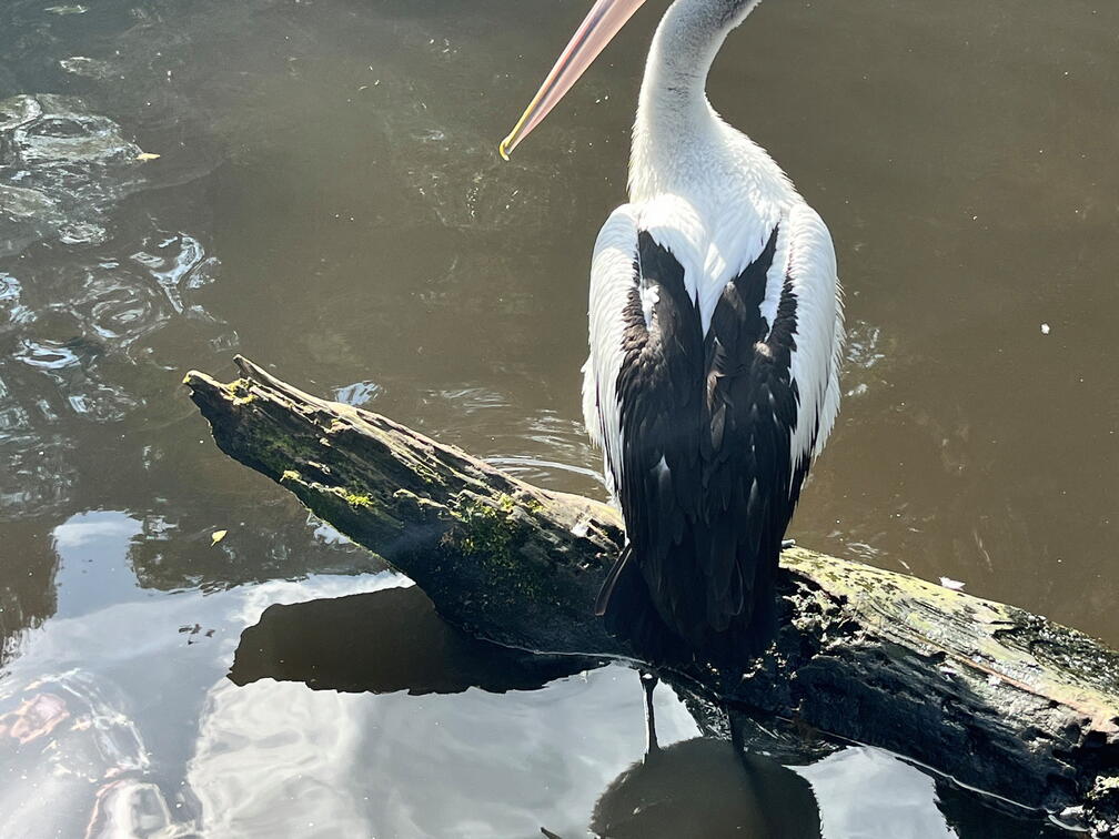 23-09-22 12-40-12 7266